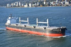 Thumbnail Image for New Dedication