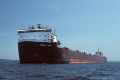 Thumbnail Image for Stewart J. Cort