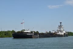 Thumbnail Image for Everlast oncontextmenu=