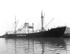 Thumbnail Image for Weissenburg