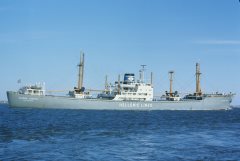 Thumbnail Image for Hellenic Laurel oncontextmenu=