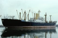 Thumbnail Image for Dumurra oncontextmenu=