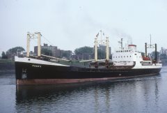 Thumbnail Image for Panky