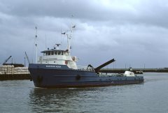 Thumbnail Image for Eastern Moon