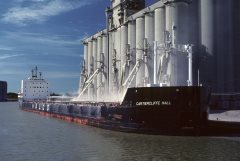 Thumbnail Image for Cartiercliffe Hall