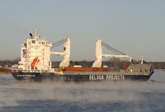 Thumbnail Image for Beluga Recommendation oncontextmenu=