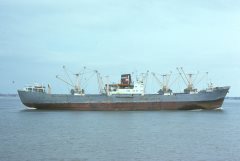 Thumbnail Image for Pepito Tey