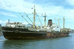 Thumbnail Image for Vishva Dharma