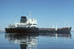 Thumbnail Image for Silverhead