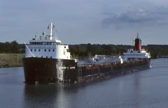 Thumbnail Image for Gordon C. Leitch