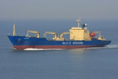 Thumbnail Image for Electra