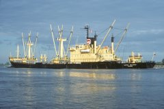 Thumbnail Image for Lotus Islands oncontextmenu=