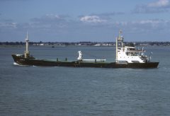 Thumbnail Image for Ponia oncontextmenu=