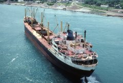 Thumbnail Image for Seaview