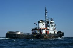 Thumbnail Image for Bonnie B III