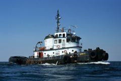 Thumbnail Image for Bonnie B III