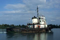 Thumbnail Image for Carrol C I