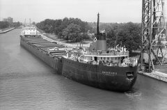 Thumbnail Image for Quebecois