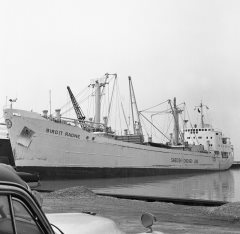 Thumbnail Image for Birgit Ragne oncontextmenu=