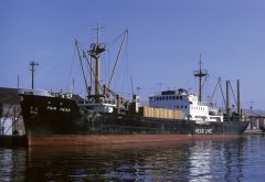 Thumbnail Image for Fair Head oncontextmenu=