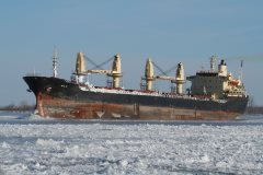 Thumbnail Image for Milo oncontextmenu=