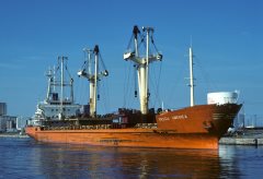 Thumbnail Image for Beeco America oncontextmenu=