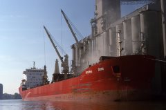 Thumbnail Image for Federal Dora oncontextmenu=