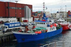 Thumbnail Image for Belle Isle Banker oncontextmenu=