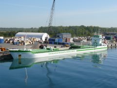 Thumbnail Image for CFL Prospect