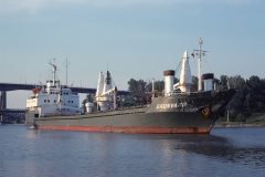 Thumbnail Image for Brunvard