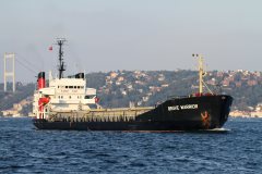 Thumbnail Image for Brave Warrior oncontextmenu=