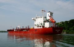 Thumbnail Image for Marida Mulberry oncontextmenu=