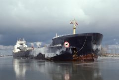 Thumbnail Image for Algowood oncontextmenu=