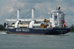 Thumbnail Image for Beluga Constitution