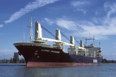 Thumbnail Image for Clipper Crusader