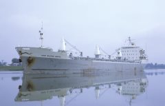 Thumbnail Image for Anne Mildred Brovig oncontextmenu=