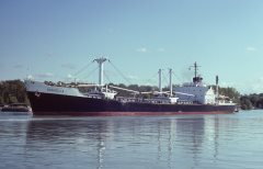 Thumbnail Image for Daniella oncontextmenu=