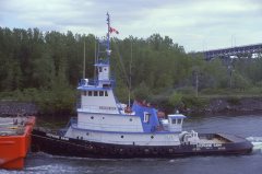 Thumbnail Image for Stephanie Dann