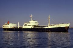 Thumbnail Image for Acavus oncontextmenu=