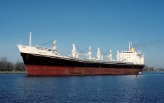 Thumbnail Image for Anna M.