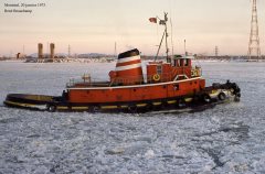 Thumbnail Image for Felicia