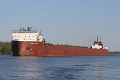 Thumbnail Image for Stewart J. Cort