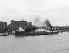 Thumbnail Image for Forestdale oncontextmenu=