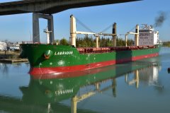 Thumbnail Image for Labrador oncontextmenu=