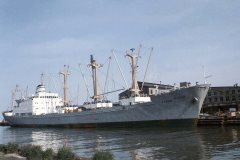 Thumbnail Image for Etrog oncontextmenu=