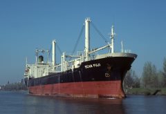 Thumbnail Image for Scan Fuji