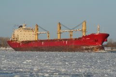 Thumbnail Image for Orsula oncontextmenu=