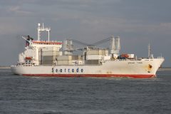 Thumbnail Image for Spring Tiger oncontextmenu=