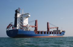 Thumbnail Image for Panthera oncontextmenu=