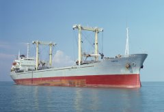 Thumbnail Image for Haritas